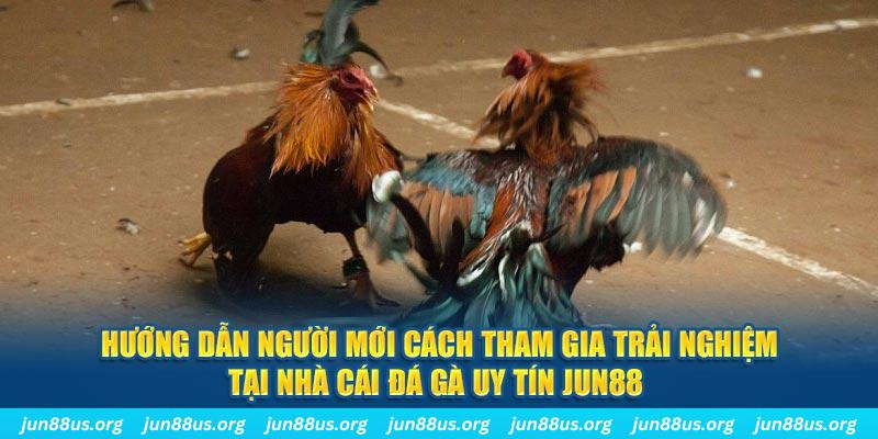 vvvwin88 CQ9 Điện Tử