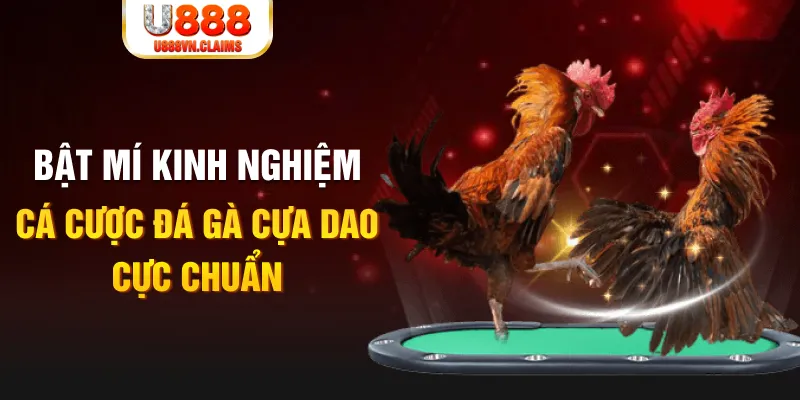 vvvwin88 tỷ lệ cá cược châu á là gì