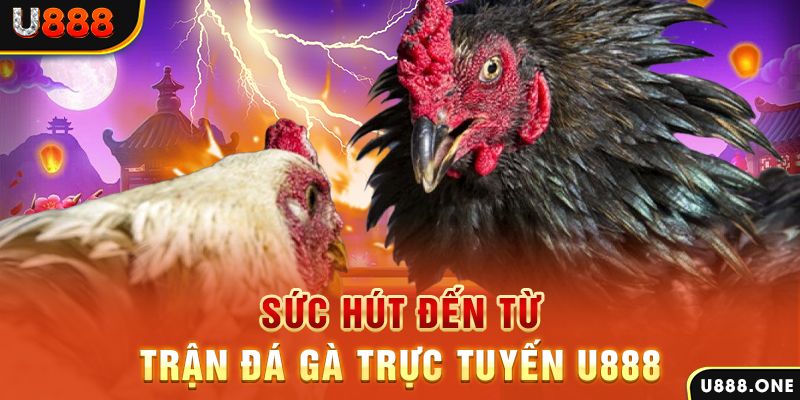 vvvwin88 nổ hũ b29 là gì