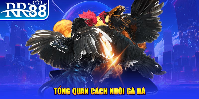 VA Điện Tử