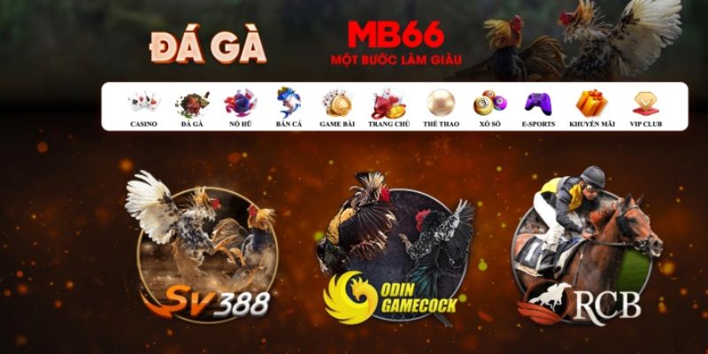 vvvwin88 đăng nhập poker số 1