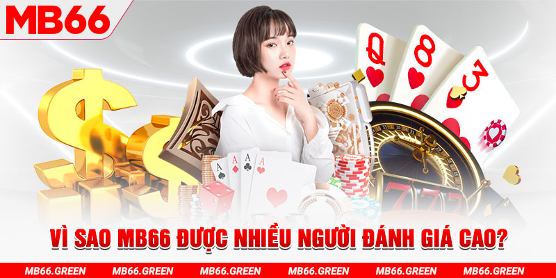 vvvwin88 đá gà