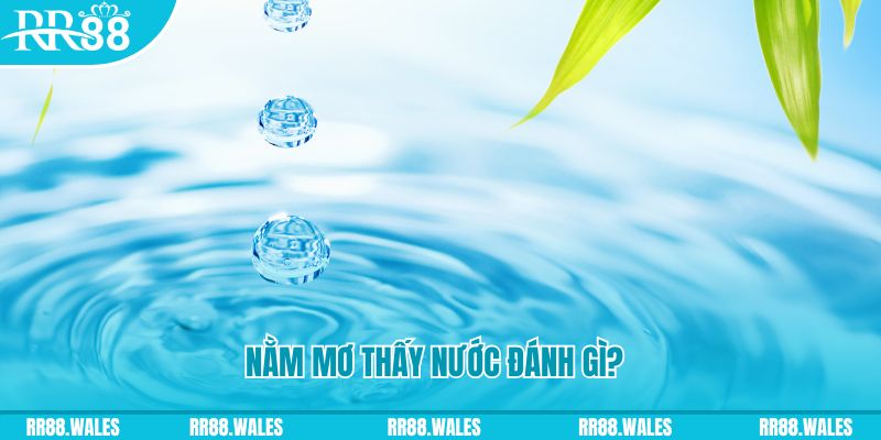 vvvwin88 TP Bắn cá