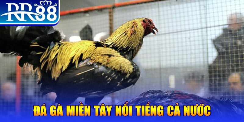 vvvwin88 JILI Game Bài 3d