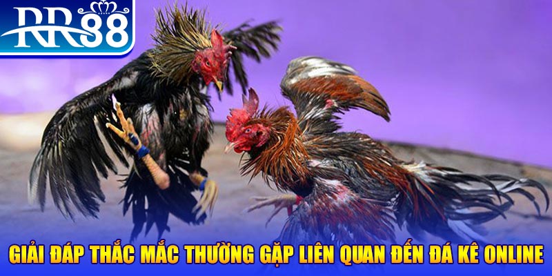 vvvwin88 xổ số đà lạt