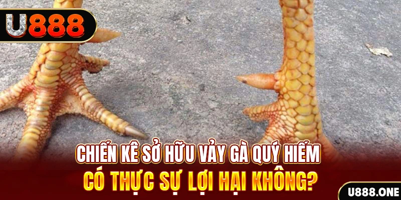 vvvwin88 nohu .mx nổ hủ là gì