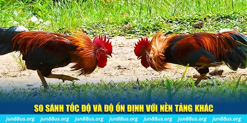 vvvwin88 đá gà hôm nay