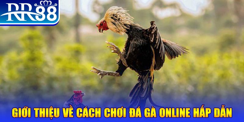 vvvwin88 game nổ hũ rút tiền mặt là gì