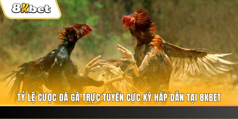 vvvwin88 đăng nhập phỏm trực tiếp